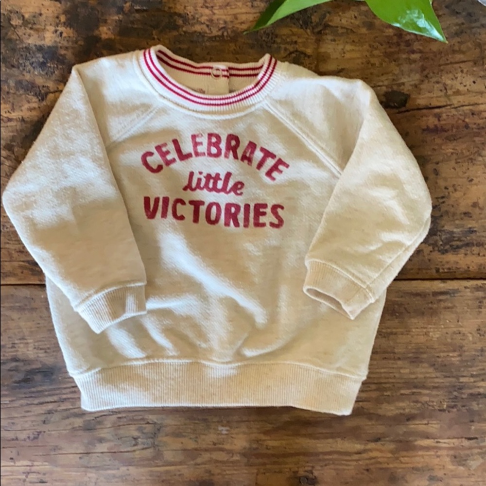 “Celebrate Little Victories” Sweater